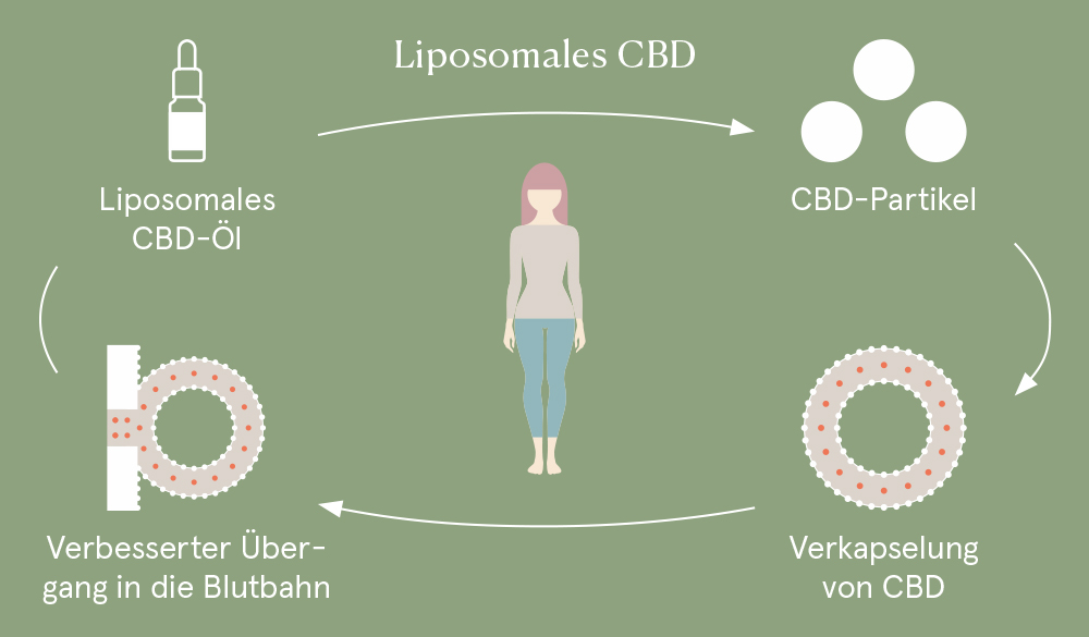 Liposomales CBD und liposomale Technologie